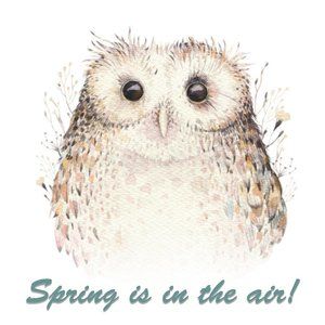 Spring is in the air!